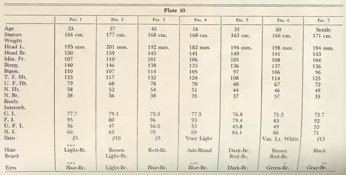 Plate 10
